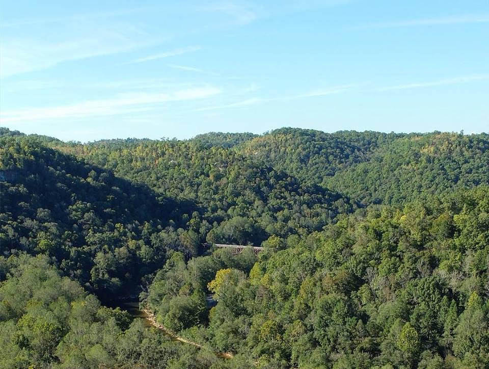 122A71E2-8671-4B18-9A0B-4D0F4DB27262