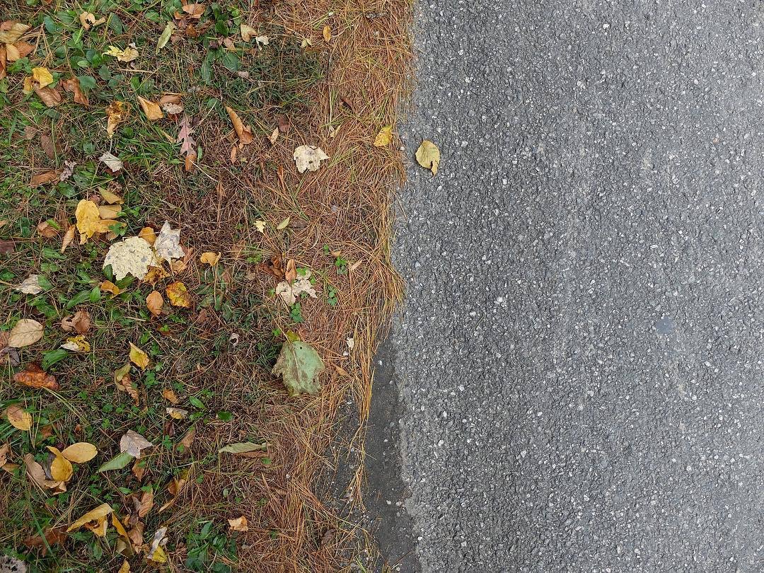 48F577BB-EE58-4786-9FF4-1D909AAA9443