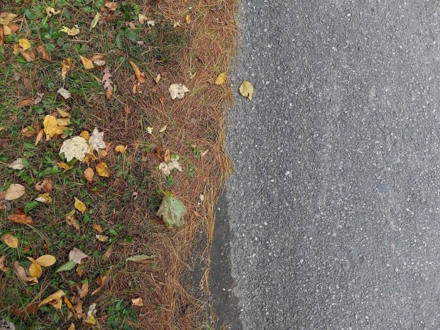 48F577BB-EE58-4786-9FF4-1D909AAA9443