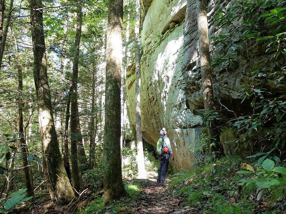 751DEA34-775E-4F19-8125-34801208D63B