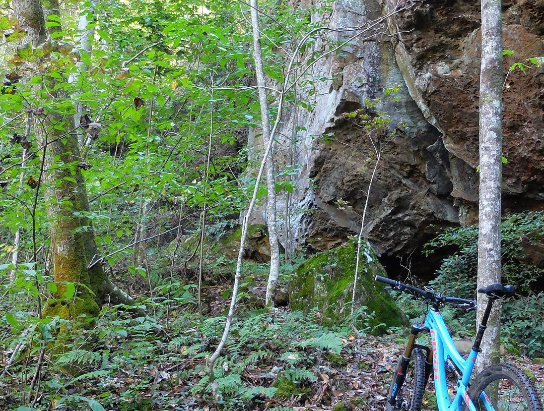 F8B5BB4E-F896-4F82-A167-6B52724D9EC0