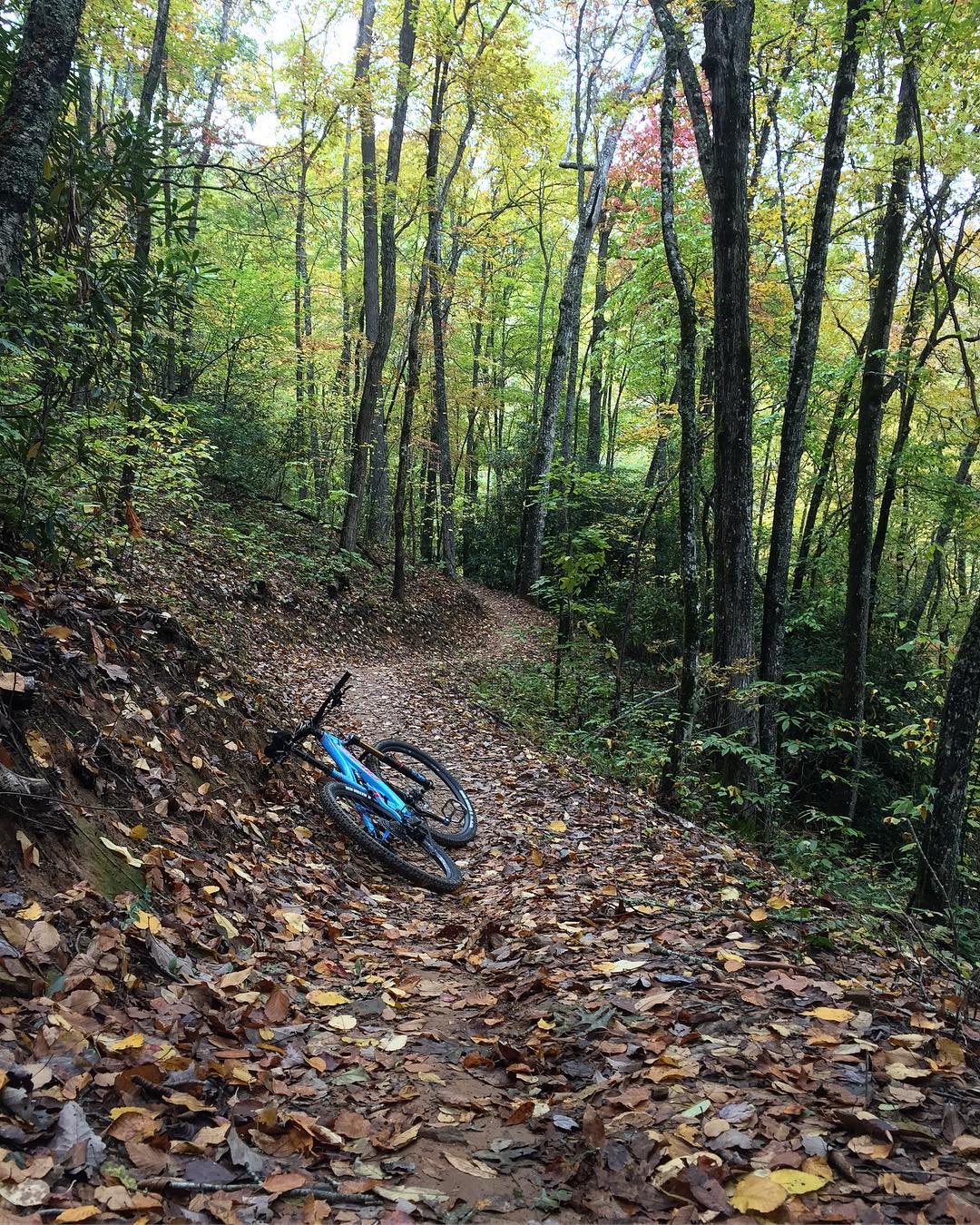 3d962ef5-e8b3-4986-97e4-48ebe48e1e1f