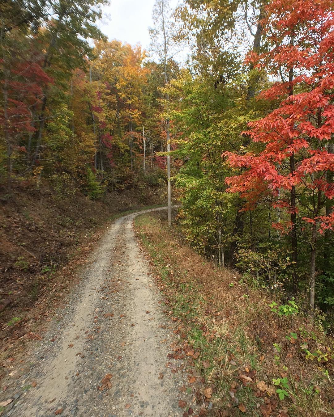 A9A5A361-C46B-44CE-8491-44FE963D9CF7