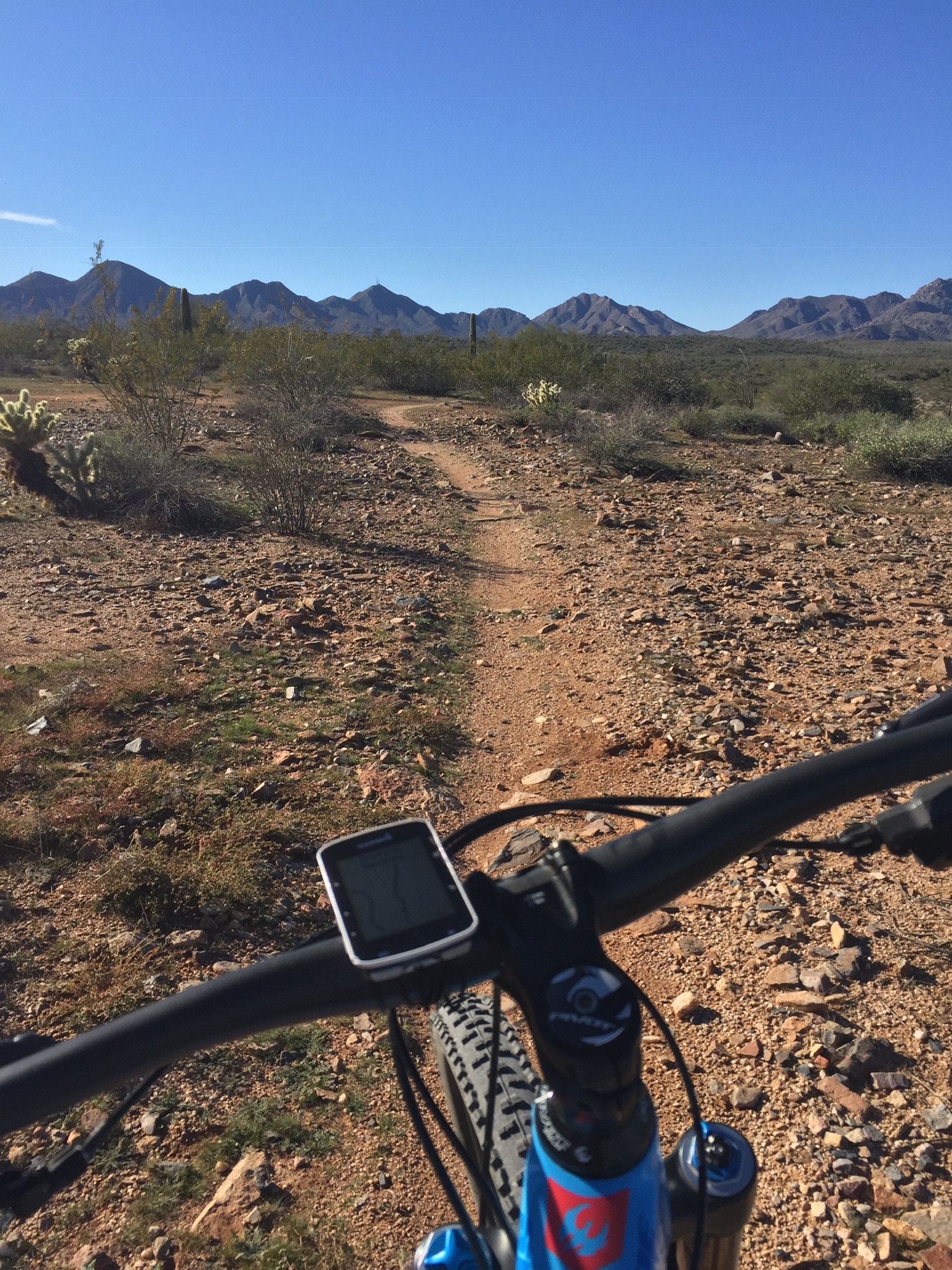 cbba76f7-b595-4970-9486-f9ddd05286f6