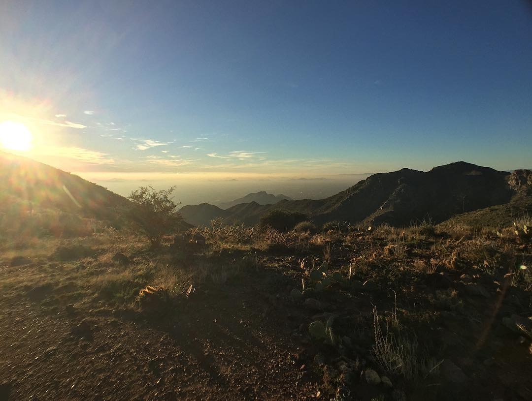 d4ec41f3-632f-4663-a1b2-6aa6ee513091