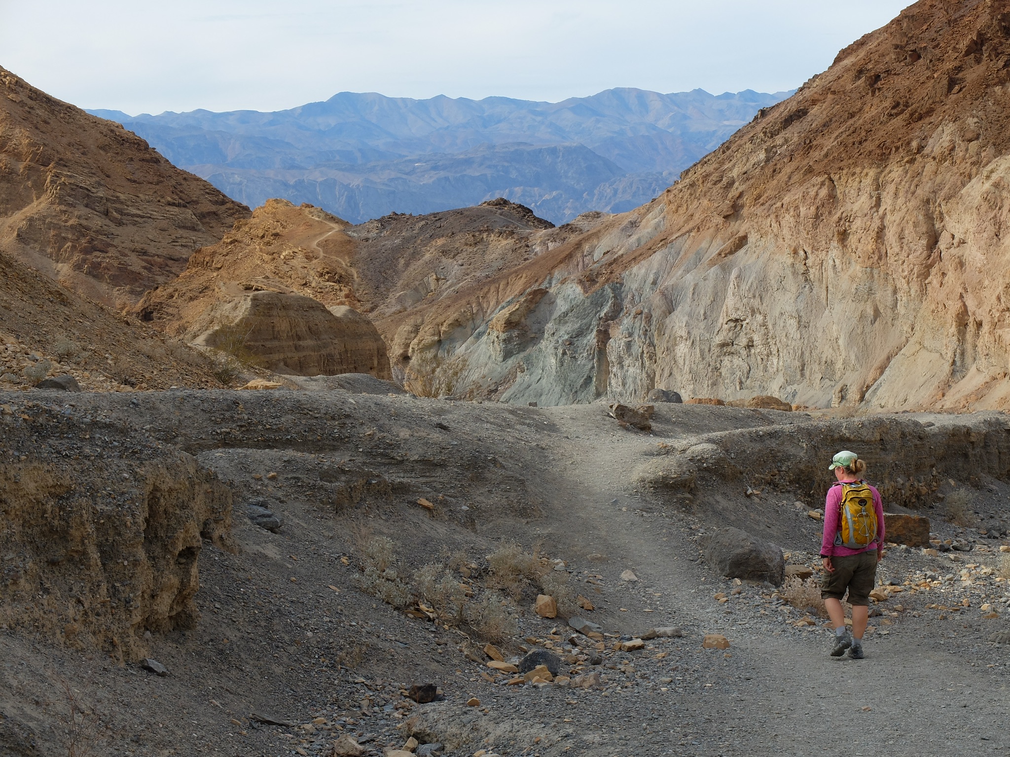 0e64e5ff-ec1a-4ac7-b2f5-0f25fc0bd26b