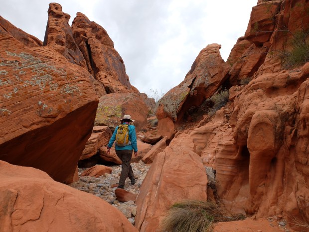 3b07f8a4-f102-4fc4-9fd4-c4e538f1011f