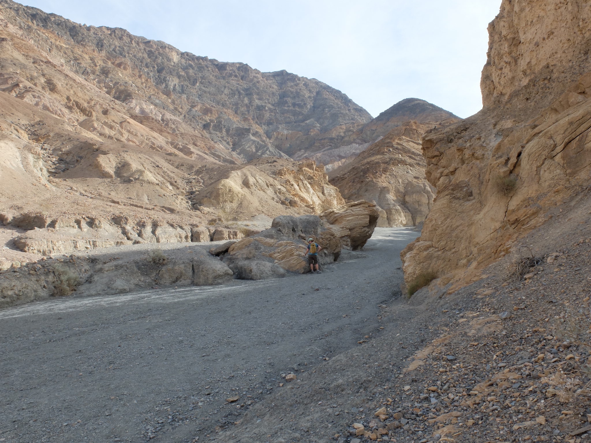 606b3294-5f38-4f7c-b362-6364d29729c8