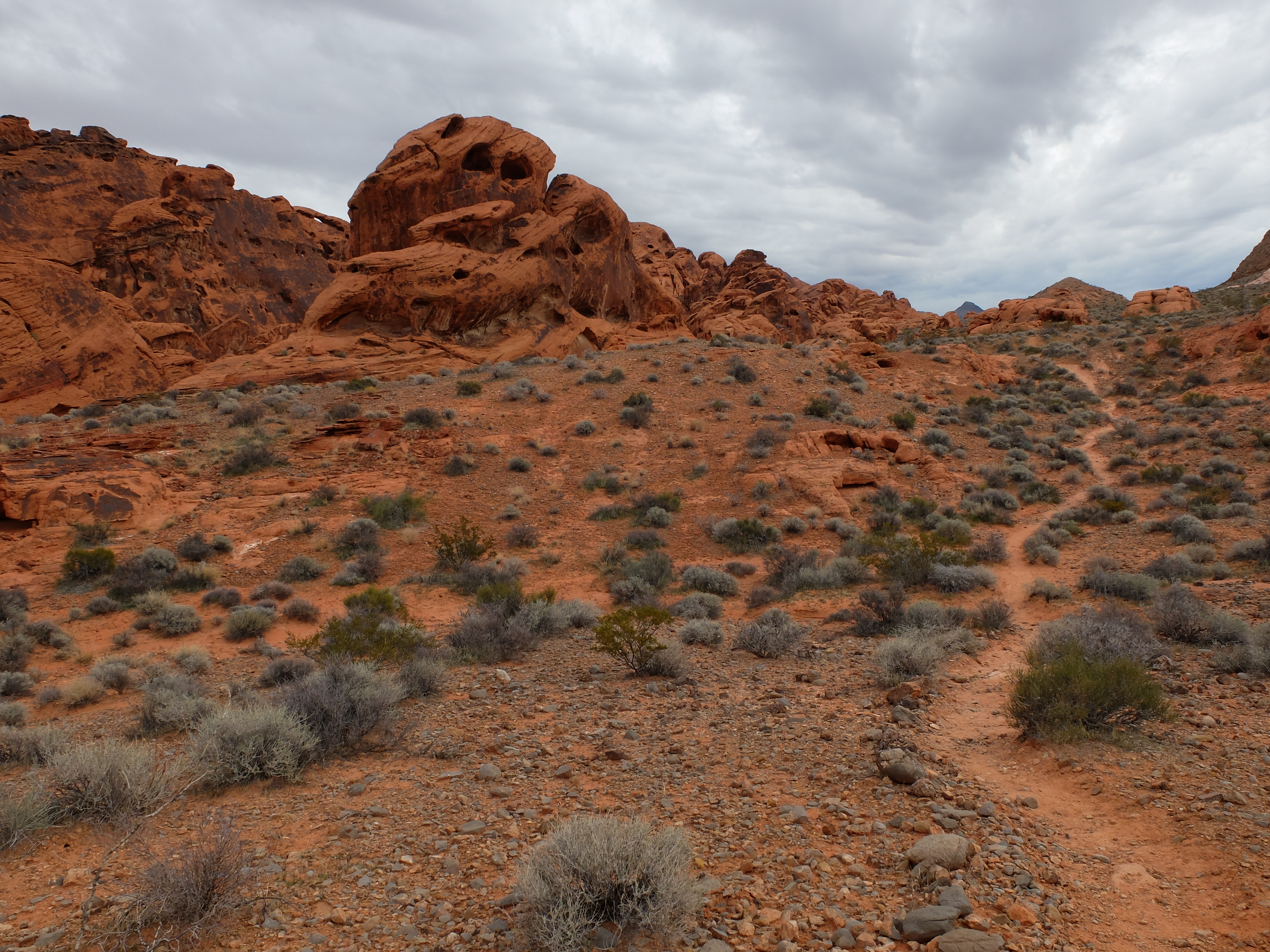 7323a4f4-0a4b-4ae7-b074-08f54a776833