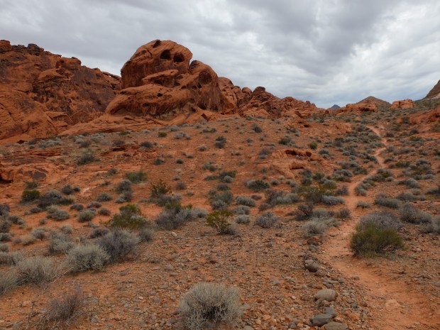 7323a4f4-0a4b-4ae7-b074-08f54a776833