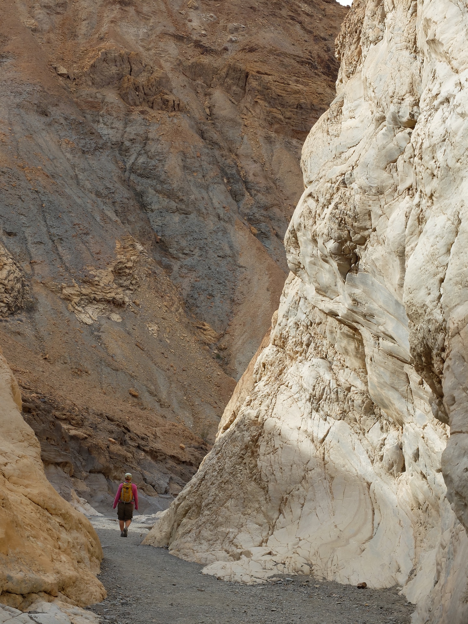 d2163cd1-4ee8-4be5-9a56-dd3e20f2b5b1