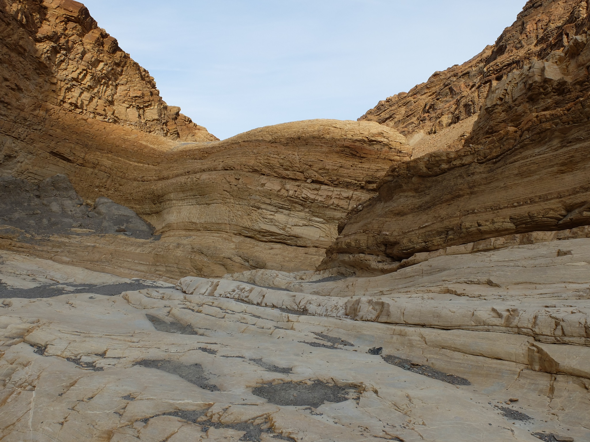 da26bddb-93aa-4b18-bf26-1f70503f23b6