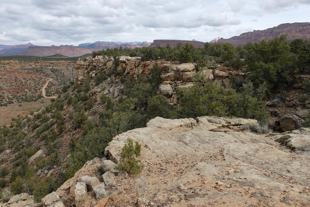 53419636_10158354050227729_552332785675665408_o (1)