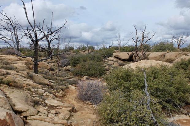 53454902_10158354050612729_1068419105389805568_o