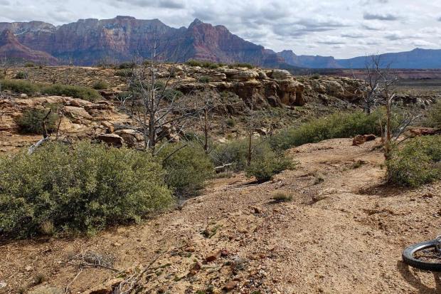 53766634_10158354050712729_723567359331139584_o