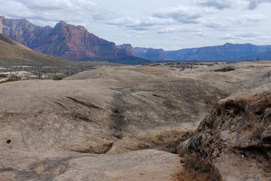 54236665_10158354050767729_7455407852501336064_o