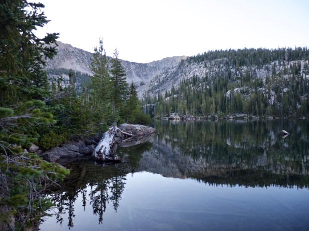 R4wjXaBIQ1uWJTNeMwQAhg_thumb_141b