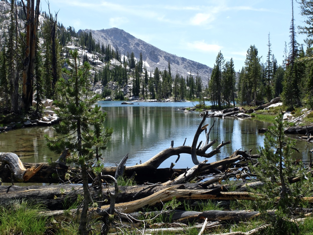 SNw0DbDVQtW9iQUzQfifSw_thumb_143b