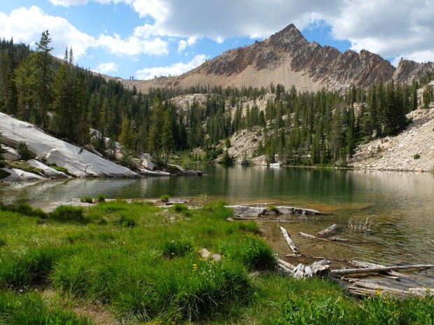 UNADJUSTEDNONRAW_thumb_1472